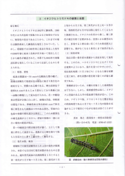 イチジクヒトリモドキの被害と生態
