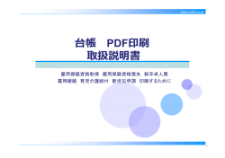 PDF印刷の設定方法