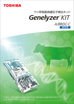 ウシ呼吸器病遺伝子検出キット「Genelyzer&trade;KIT A/BRDC
