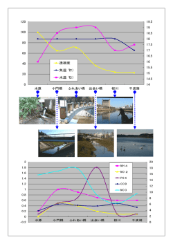 透視度 気温（℃） 水温（℃）