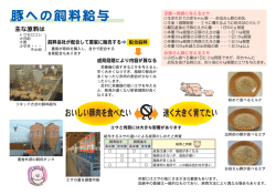 豚への飼料給与