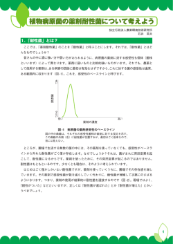植物病原菌の薬剤耐性菌について考えよう（1）