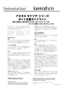 アネモネ モナリザ・シリーズ ポット生産ガイドライン