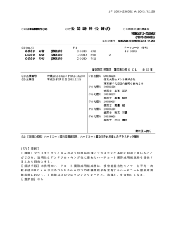 特​開​2013