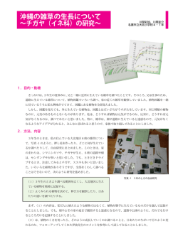 沖縄の雑草の生長について ～チガヤ（イネ科）の研究～