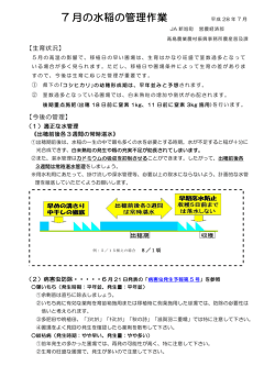 7月 - 新旭町農業協同組合
