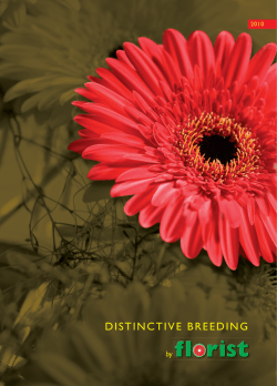 distinctive breeding