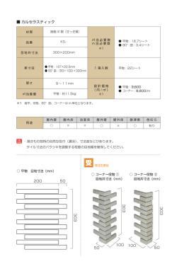 え カルセラスティック 303 303 303 200 50 50 100 100 50