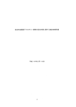 鉛含有金属製アクセサリ一類等の安全対策に関する検討会報告書