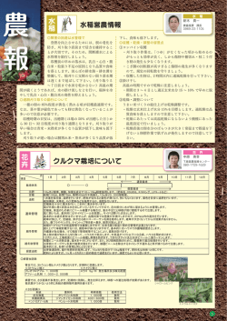 2015年7月号