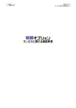 制御オプション サービスに関する確認事項v1r3