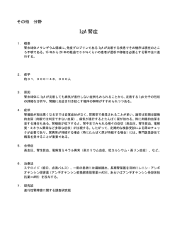 概要（PDF205KB）