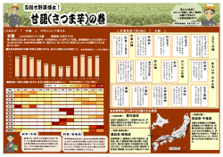 1.たまおが 『 甘藷 』 の旬について考える 2.多摩青果で取り扱う 『 甘藷