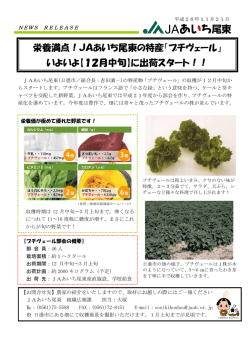 栄養満点！JAあいち尾東の特産「プチヴェール」 いよいよ【12月中旬】に