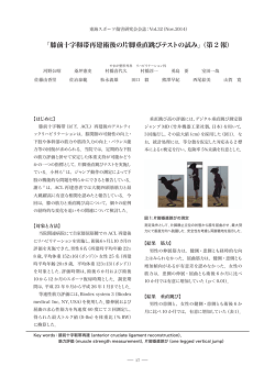 「膝前十字靱帯再建術後の片脚垂直跳びテストの試み」（第 2 報）
