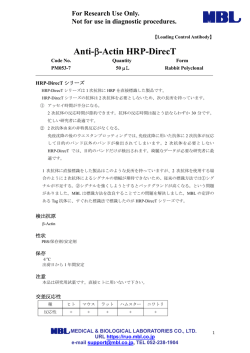 Anti-&beta;-Actin HRP