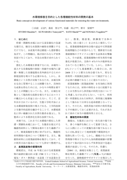 水環境修復を目的とした各種機能性材料の開発の