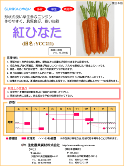 PowerPoint プレゼンテーション