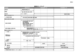 資料3 ロードマップ図（PDF 68KB）