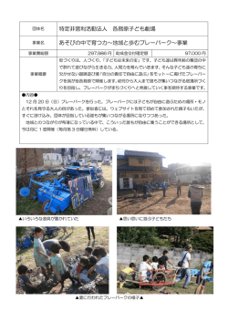 あそびの中で育つ力～地域と歩むプレーパーク～事業