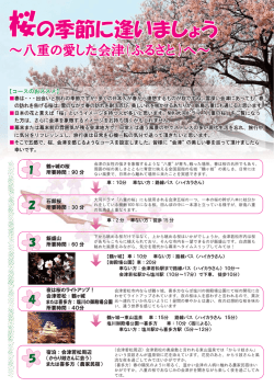 桜の季節に逢いましょう 桜の季節に逢いましょう