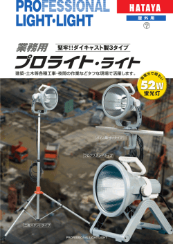 業務用プロライト・ライトカタログ (pdf：606KB)