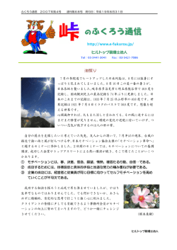 2007年第4号 - ヒルトップ税理士法人