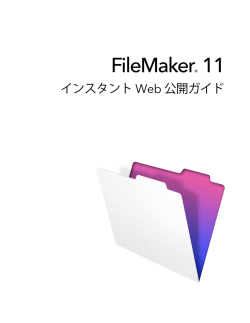 1 - FileMaker