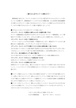 猫ちゃんをキャリーに慣らそう