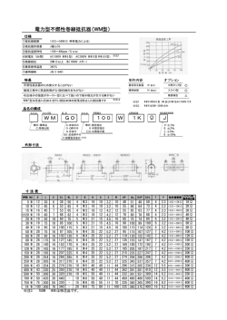 電力型不燃性巻線抵抗器（WM型） J WM &Omega; 100 W 1K GO