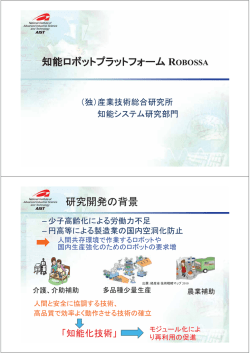 ROBOSSA - OpenRTM-aist