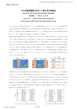 PDF ダウンロード
