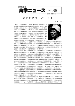 65号