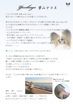 ゆりかご 葉山テラス - 愛犬のためのおやつとごはん『ゆりかご』