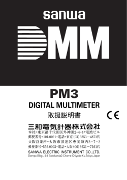 PM3