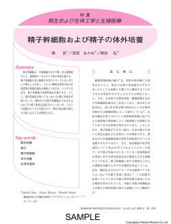 精子幹細胞および精子の体外培養