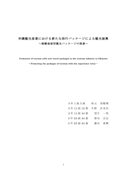 沖縄観光産業における新たな旅行パッケージによる観光振興