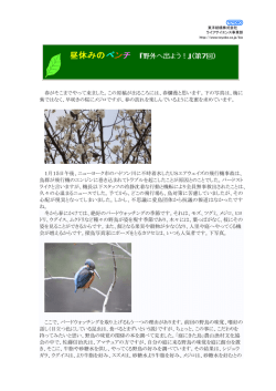 pdfバージョンはこちら