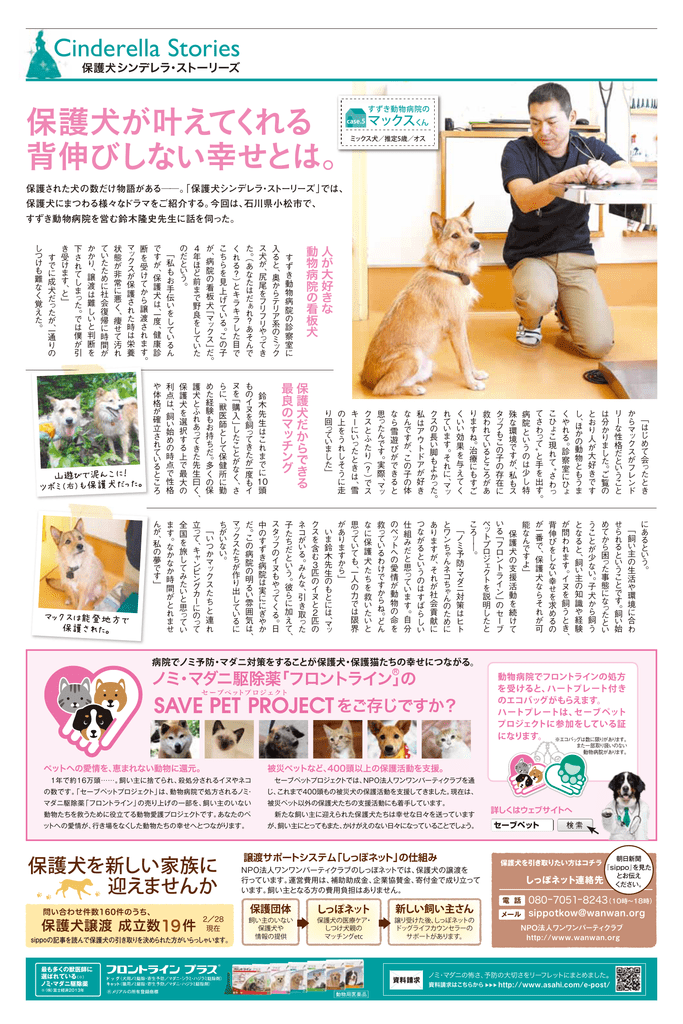 保護犬が叶えてくれる 背伸びしない幸せとは