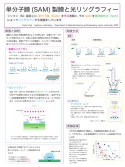 背景と目的 実験方法 実験結果