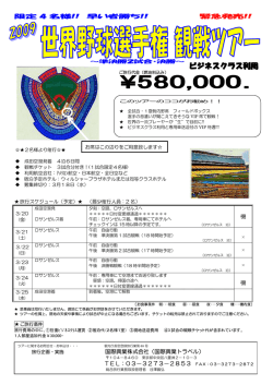 観戦チケット3試合分付き ビジネスクラスで行く2009世界