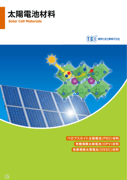 太陽電池材料 (PDF file)