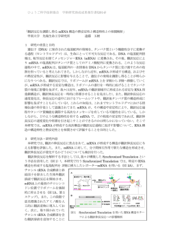 翻訳反応を調節し得るmRNA構造の熱安定性と構造特性との相関解析
