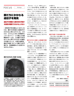 顔だちにかかわる 遺伝子を発見