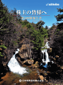 2015年3月期事業報告書