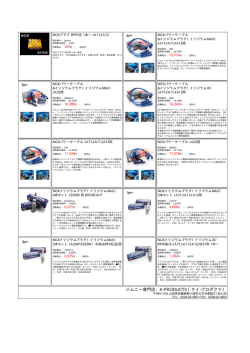 このページの商品データをダウンロード