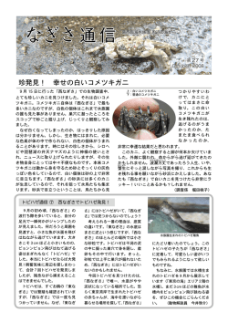 第 27 号（2008 年 10 月 5 日発行）