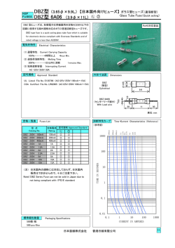 DBZ型 （3.65&phi; 9.9L） DBZ型 6A06 （3.9&phi; 11L）