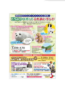 01 ふるさと村_恐竜チラシ裏_三校