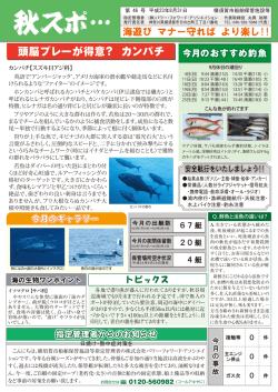 秋スポ&hellip; 第 46 号